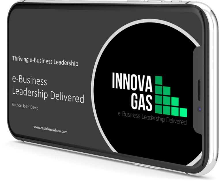 e-Business Leadership Delivered