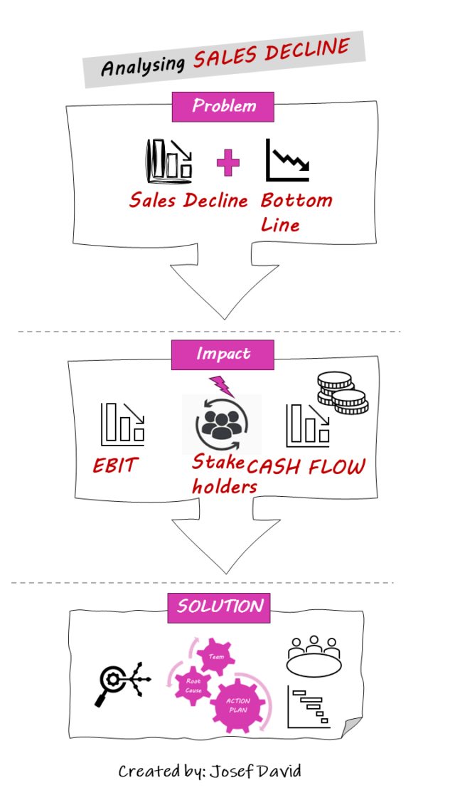 Analysing SALES DECLINE of our BUSINESS using Infographics