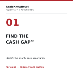 Find the Cash Gap™ RapidThrive Action Guide cover